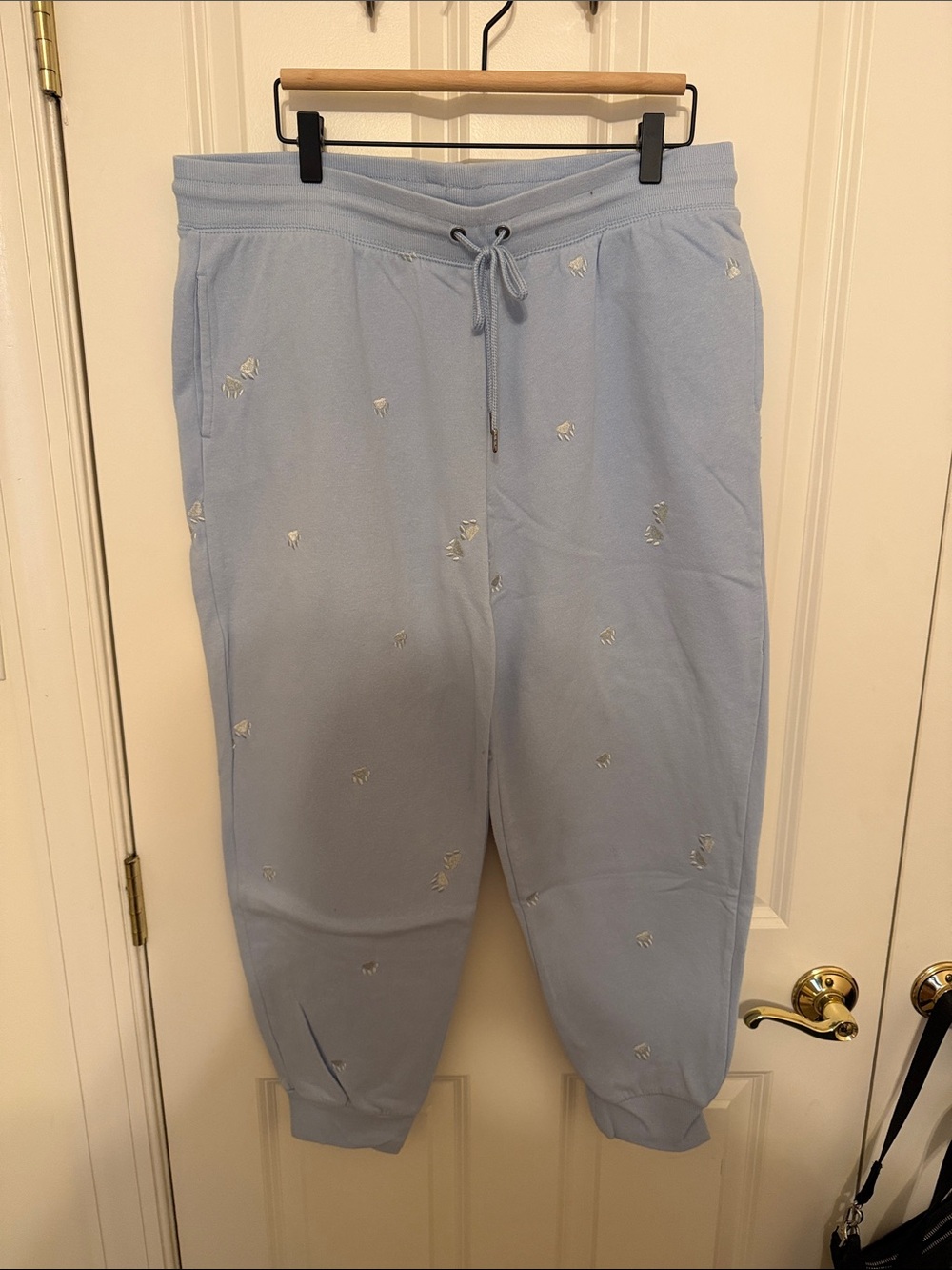 Light Blue Embroidered Jogger Sweatpants